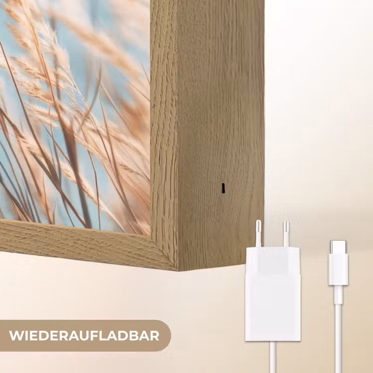 Siergras - Wind - Lichtbruin Light Box met batterij (Wandlamp) middel -USP_websiteoplaadbaarDE