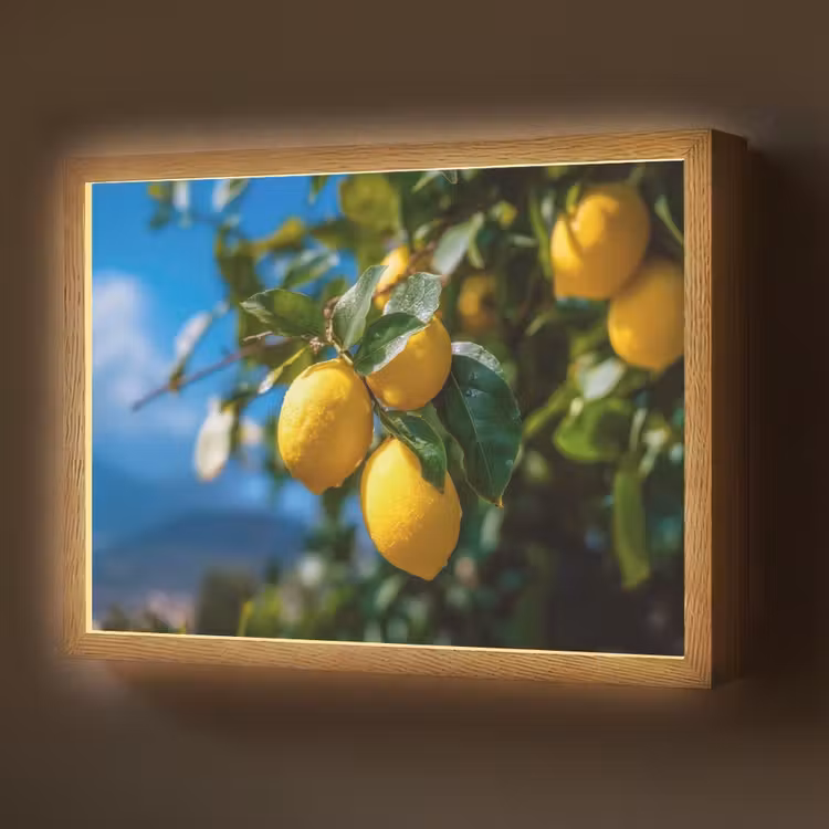 Citroenen - Bladeren - Blauwe lucht Light Box met batterij (Wandlamp) middel -z3d_website
