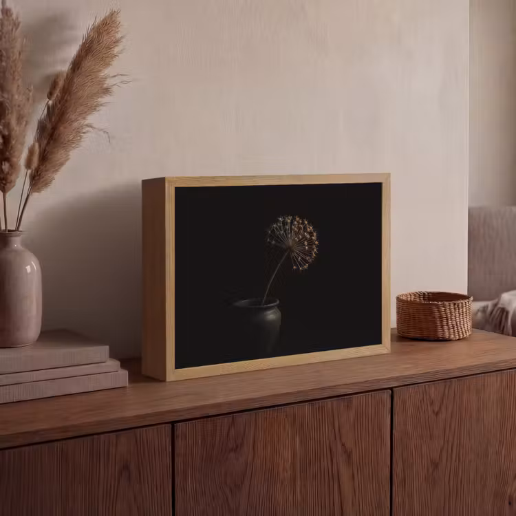 Bol - Gedroogd - Vaas - Zwart Light Box met batterij (Wandlamp) middel -sfeer2