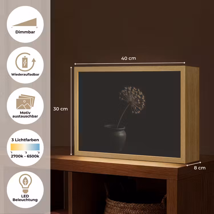Bol - Gedroogd - Vaas - Zwart Light Box met batterij (Wandlamp) middel -USP_websiteoverzichtDE