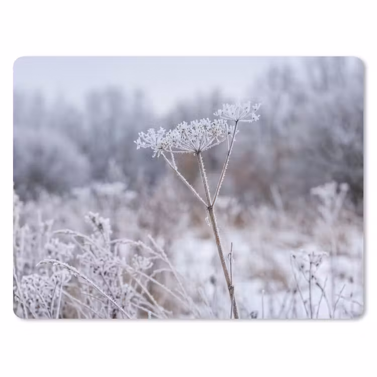 Schermbloem - Rijp - Kristallen - Winter - Delicaat muismat rubber klein -3d