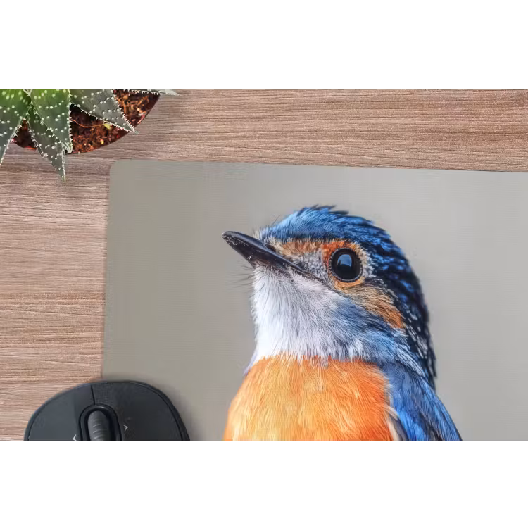 Kleurrijk - Vogeltje - Veren - Blauw muismat rubber klein -closeup