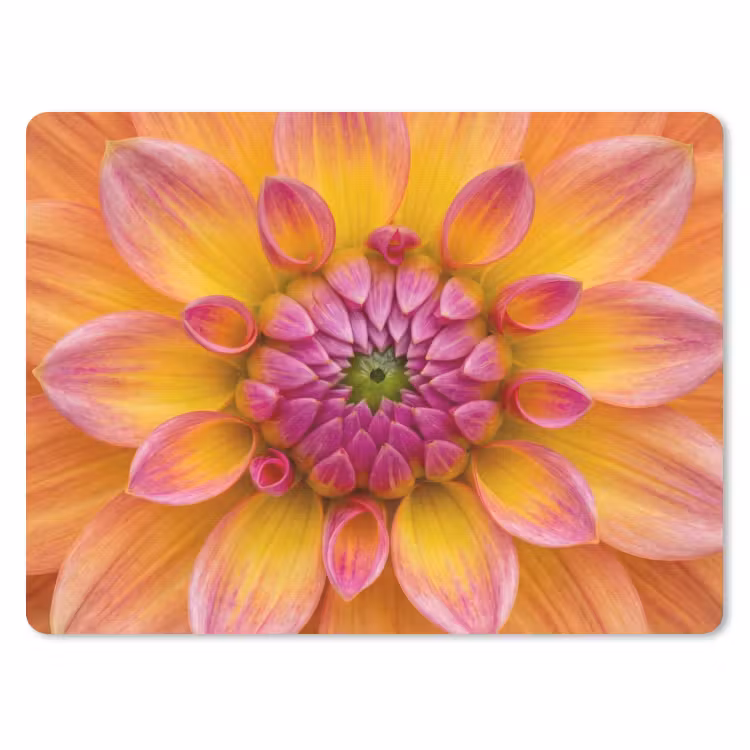 Dahlia - Bloem - Oranje muismat rubber klein -3d