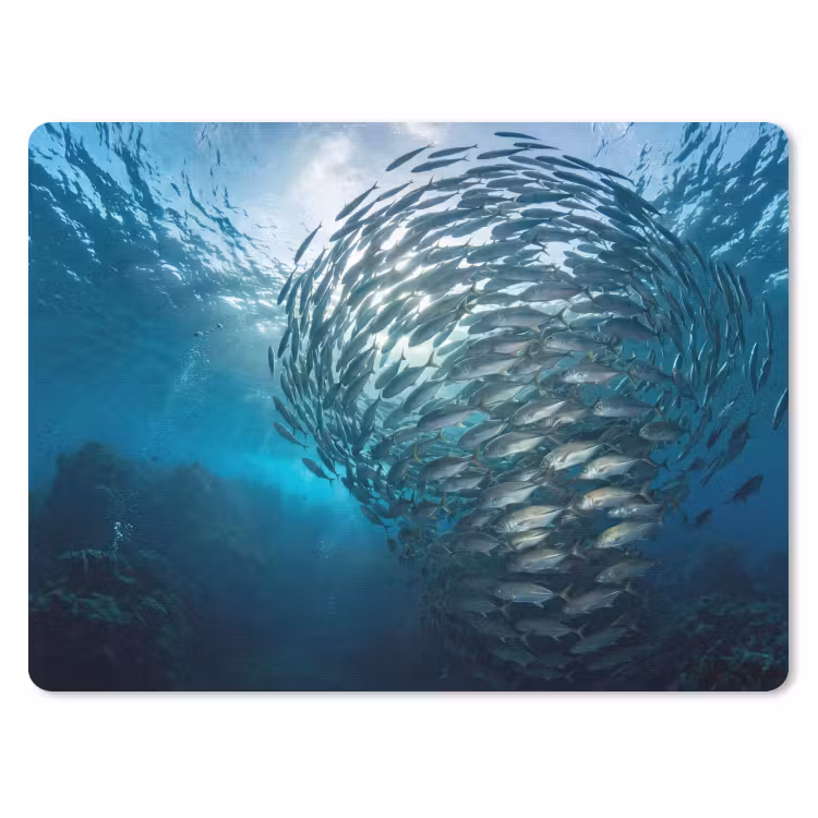 Vis - School - Oceaan - Natuur - Blauw muismat rubber klein -3d