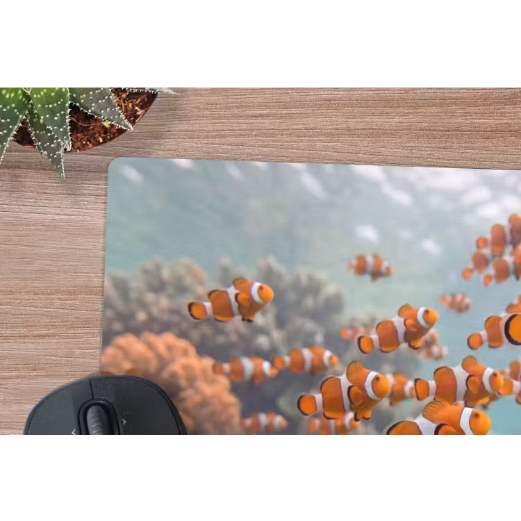 Vis - School - Onderwater - Dieren - Oranje muismat rubber klein -closeup