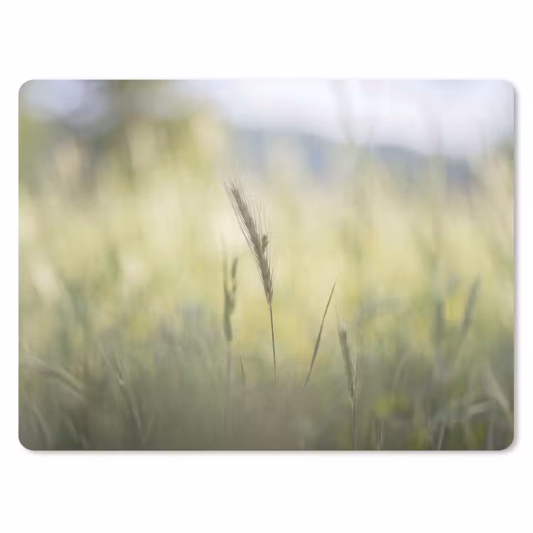 Graan - Aar - Natuur - Groen - Detail muismat rubber klein -3d