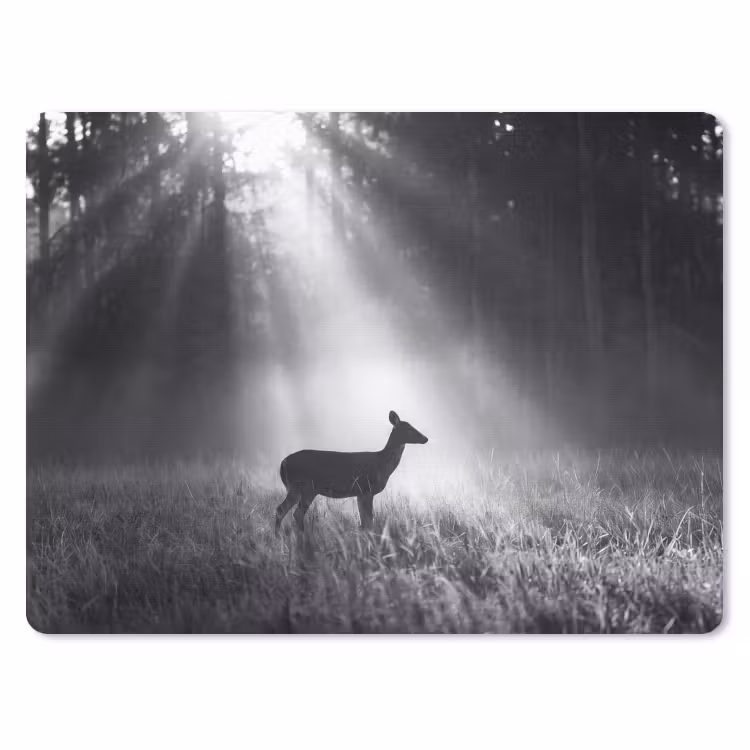 Hert - Bos - Zonnestralen - Zwart-wit - Natuur muismat rubber klein -3d