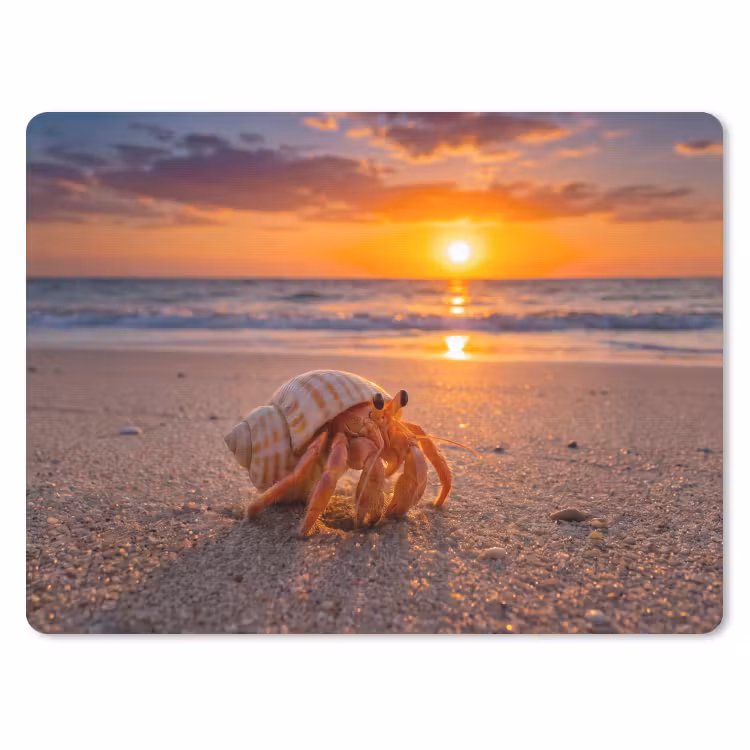 Kreeft - Strand - Natuur - Zonsondergang - Oranje muismat rubber klein -3d