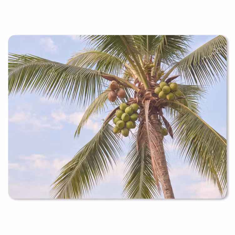 Kokosnoot - Boom - Tropisch - Natuur - Groen muismat rubber klein -3d