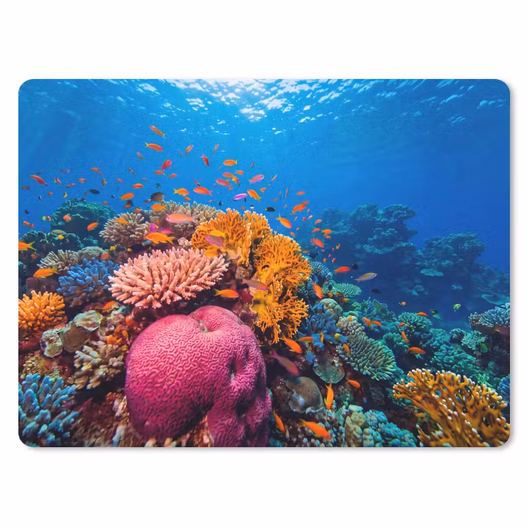 Koraal - Vissen - Oceaan - Natuur - Kleurrijk muismat rubber klein -3d