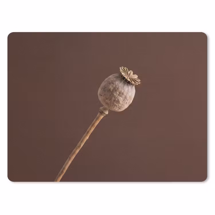 Papaverbol - Droogbloem - Bruin - Minimalistisch muismat rubber klein -3d