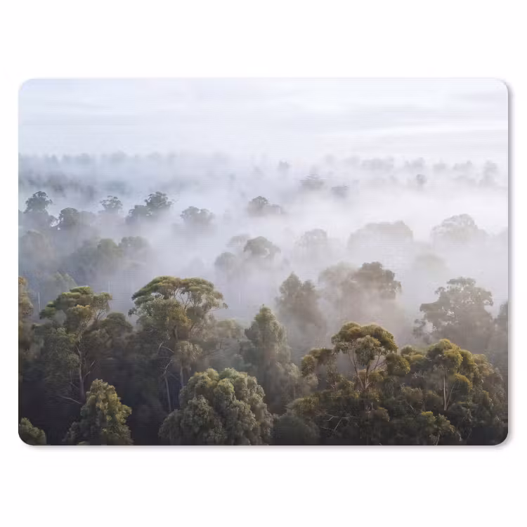 Natuur - Mist - Bos - Ochtend - Goud muismat rubber klein -3d