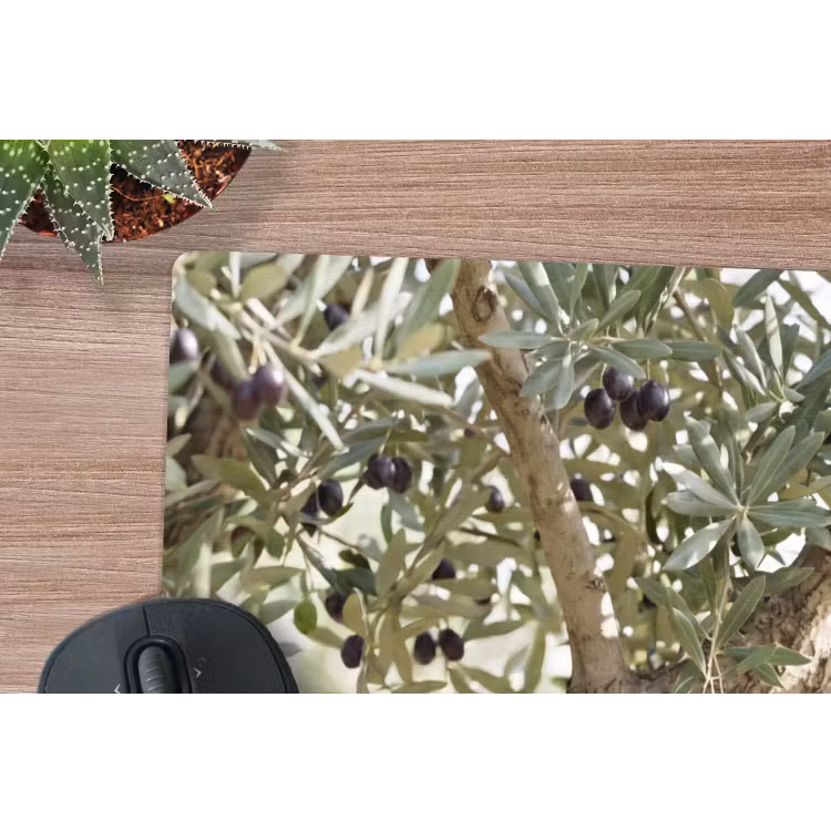 Mauspad - Olivenbaum – Zweig – grün - Olijfboom - tak - groen muismat rubber klein