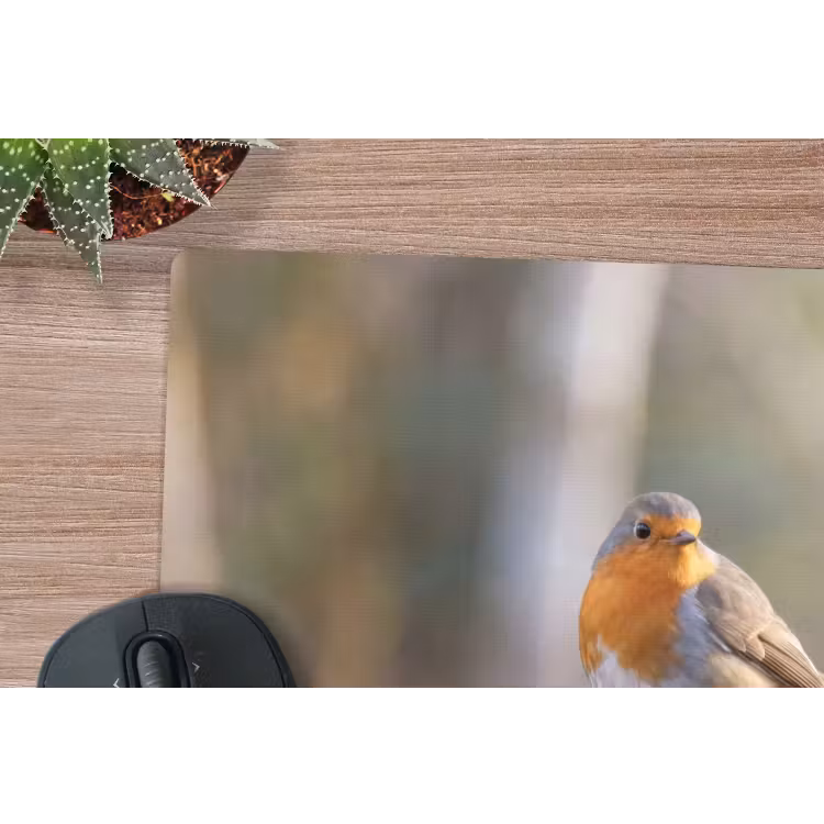 Roodborst - Tak - Bessen - Natuur muismat rubber klein -closeup