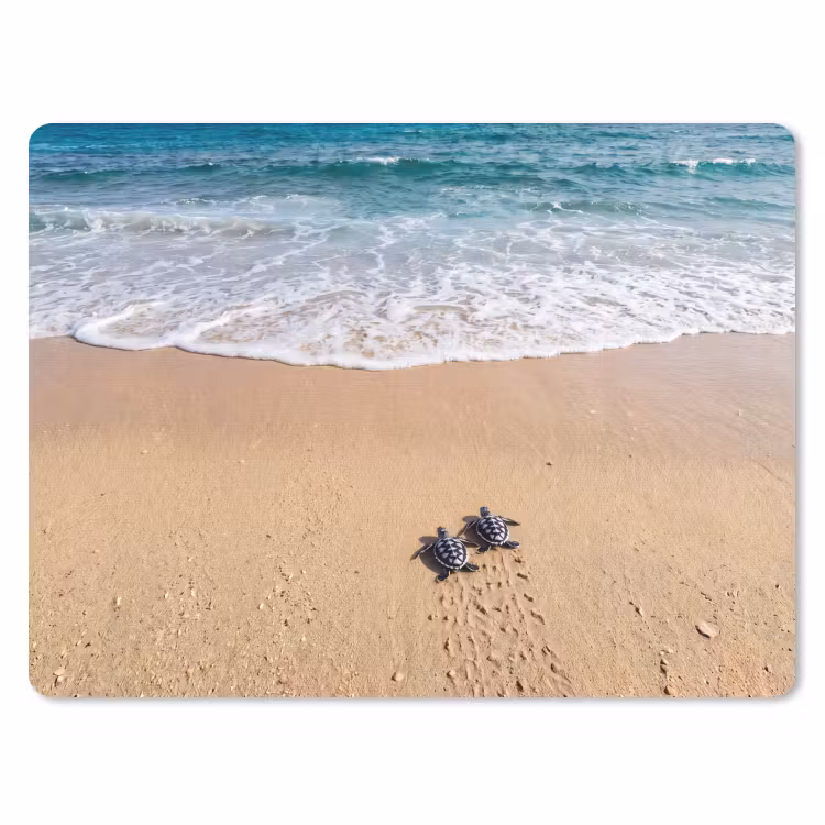 Schildpad - Jong - Strand - Oceaan - Blauw muismat rubber klein -3d