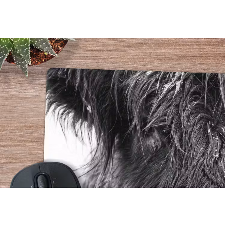 Schotse hooglander - Zwart - Wit - Sneeuwvlokken muismat rubber klein -closeup