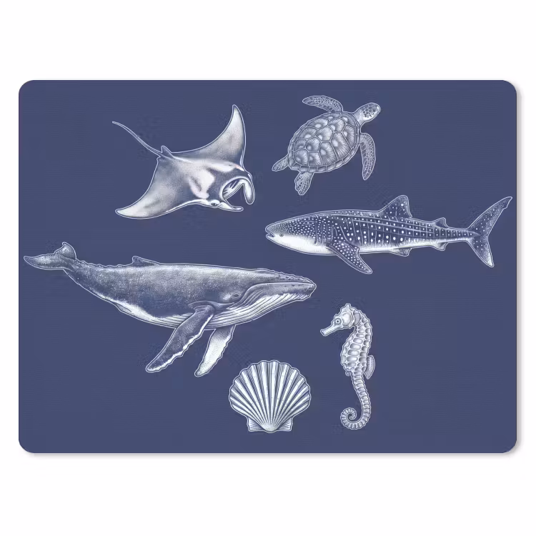 Dieren - Zeeleven - Oceaan - Graveren - Blauw muismat rubber klein -3d