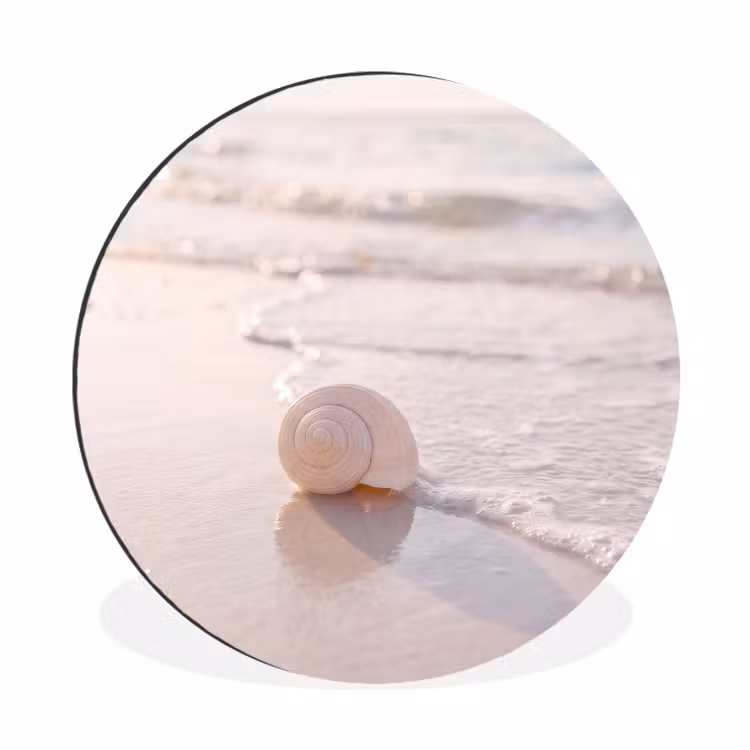 Zeeschelp - Strand - Zee - Natuur - Beige Wandcirkel aluminium klein -3d