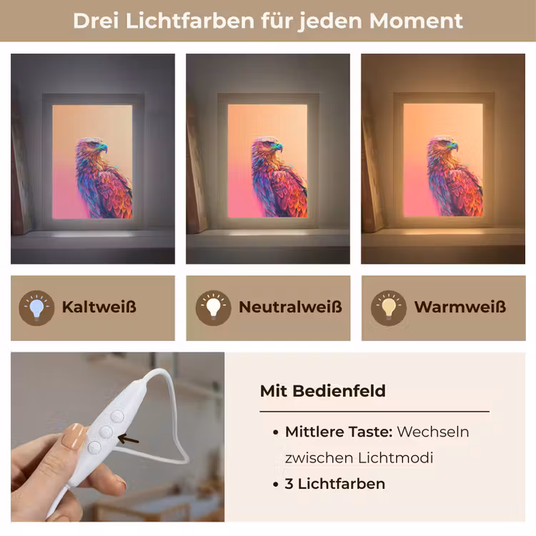 Arend - Vogel - Kleurrijk - Dier Light Box met kabel klein -USP_lichtkleurDE
