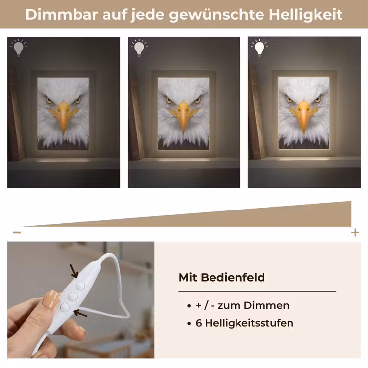 Amerikaans - Zeearend - Portret - Geel Light Box met kabel (Kinderlampje) klein -USP_dimbaarDE