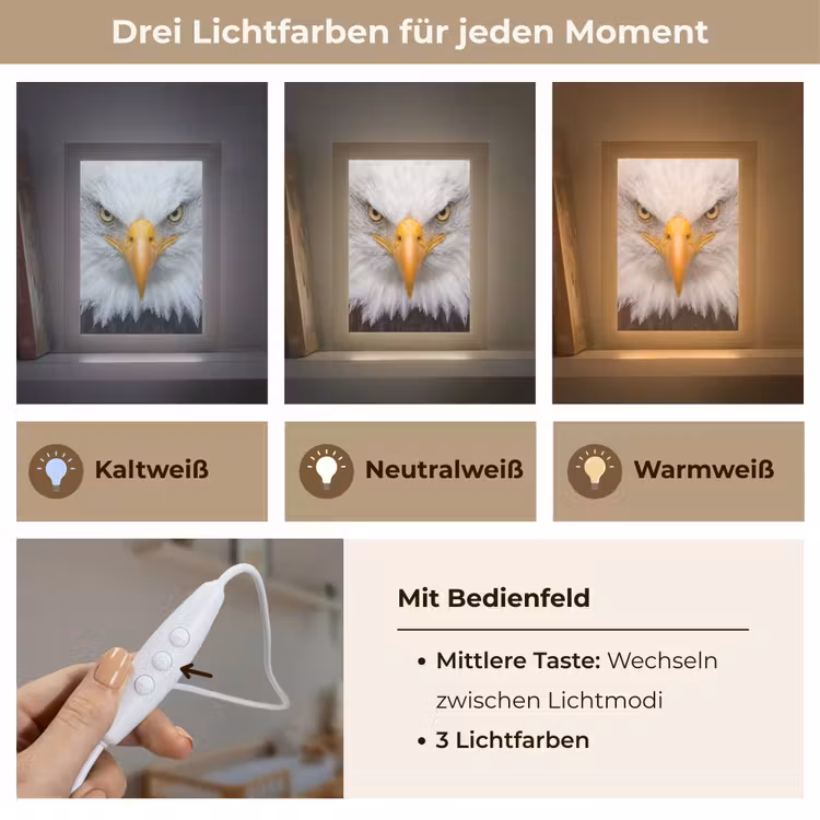 Amerikaans - Zeearend - Portret - Geel Light Box met kabel (Kinderlampje) klein -USP_lichtkleurDE