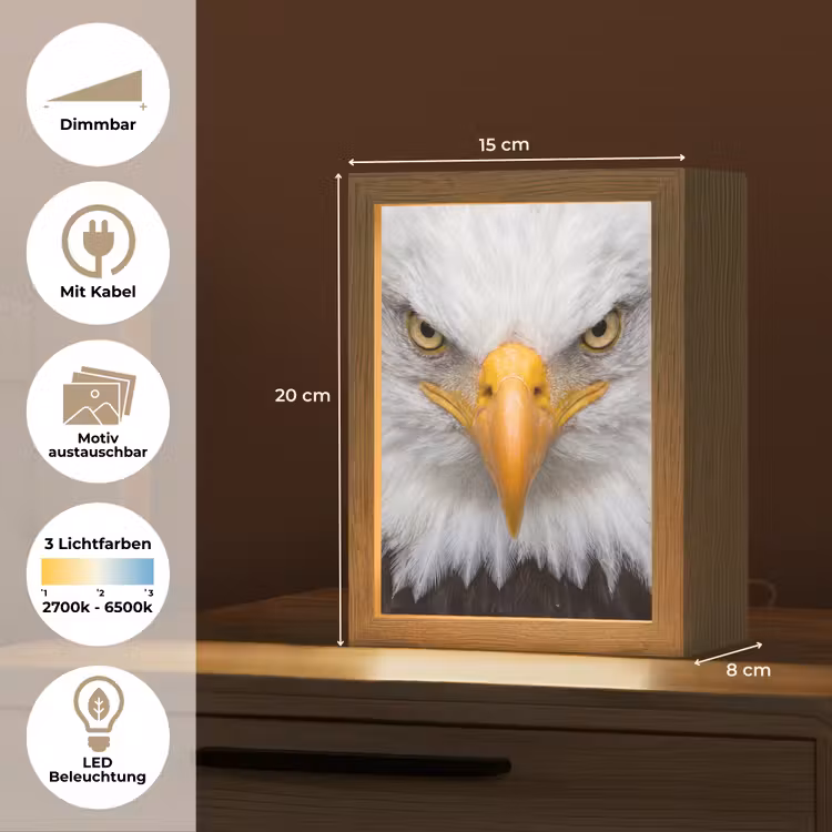 Amerikaans - Zeearend - Portret - Geel Light Box met kabel (Kinderlampje) klein -USP_websiteoverzichtDE
