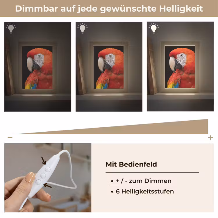 Ara - Portret - Rood Light Box met kabel (Kinderlampje) klein -USP_dimbaarDE