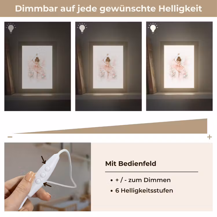 Ballerina - Fee - Bloemen - Roze Light Box met kabel klein -USP_dimbaarDE