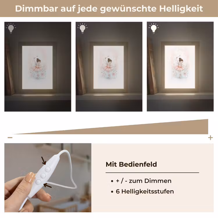 Ballerina - Fee - Roze Light Box met kabel klein -USP_dimbaarDE