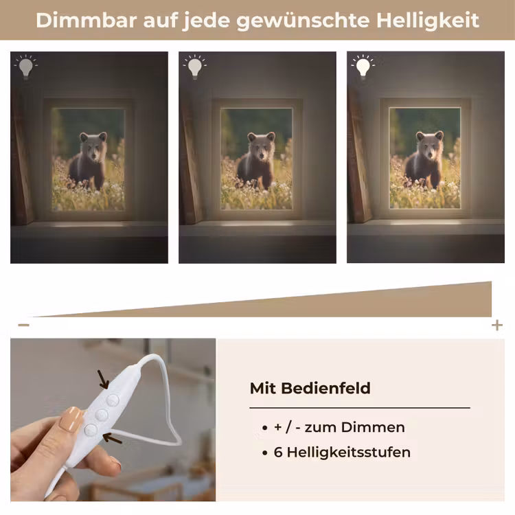 Beer - Bloemenveld - Gras Light Box met kabel klein -USP_dimbaarDE