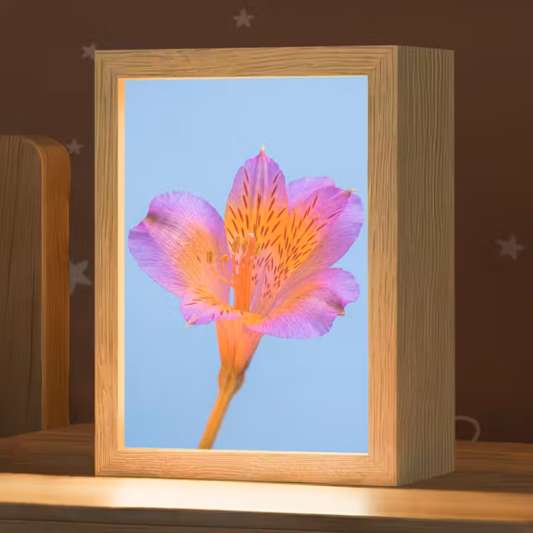 Bloem - Detail - Kleurrijk Light Box met kabel (Kinderlampje) klein -zzz_3d_website