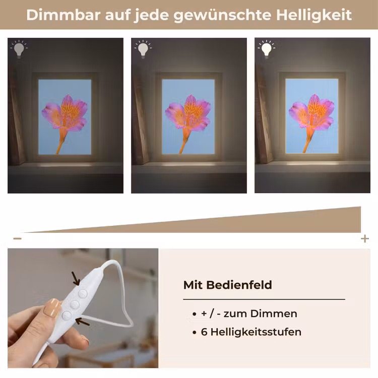 Bloem - Detail - Kleurrijk Light Box met kabel (Kinderlampje) klein -USP_dimbaarDE