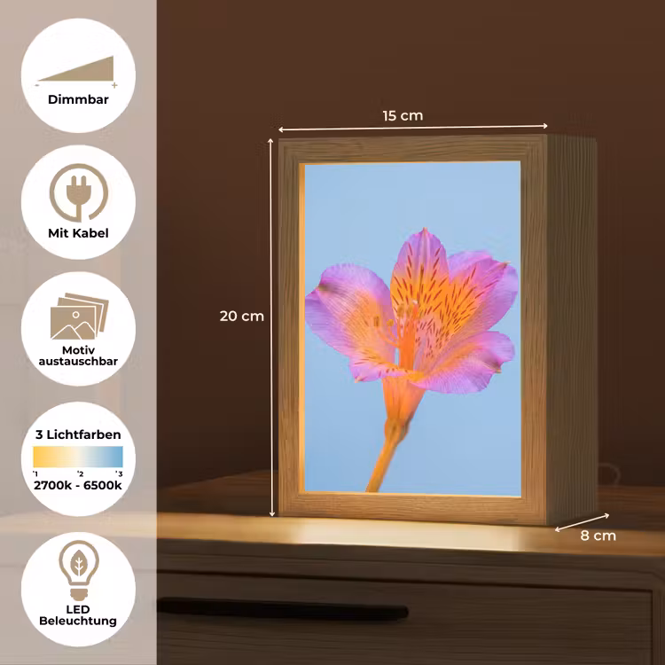 Bloem - Detail - Kleurrijk Light Box met kabel (Kinderlampje) klein -USP_websiteoverzichtDE