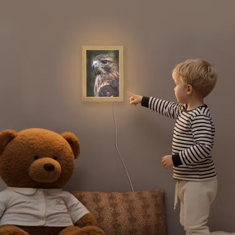 Buizerd - Roofvogel - Natuur - Bruin Light Box met kabel (Kinderlampje) klein -sfeer4a_kind