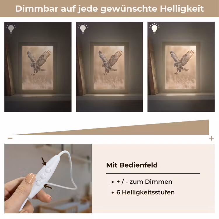 Buizerd - Roofvogel - Natuur - Bruin Light Box met kabel (Kinderlampje) klein -USP_dimbaarDE