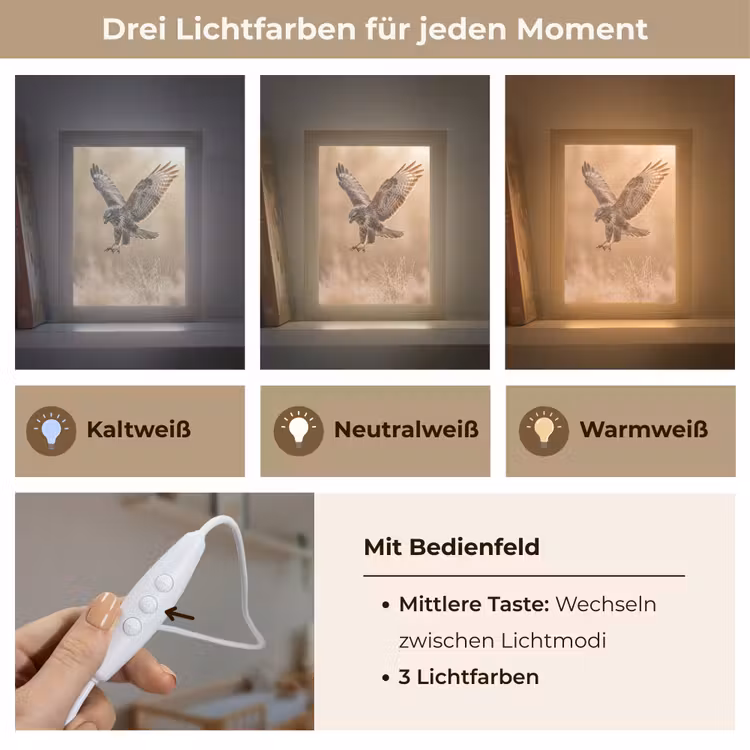 Buizerd - Roofvogel - Natuur - Bruin Light Box met kabel (Kinderlampje) klein -USP_lichtkleurDE