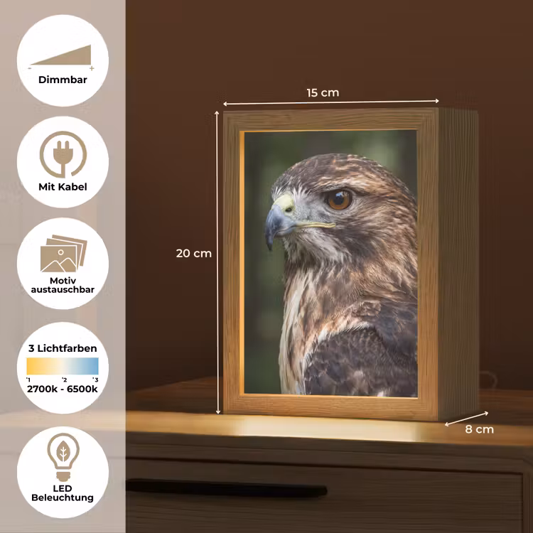 Buizerd - Roofvogel - Natuur - Bruin Light Box met kabel (Kinderlampje) klein -USP_websiteoverzichtDE