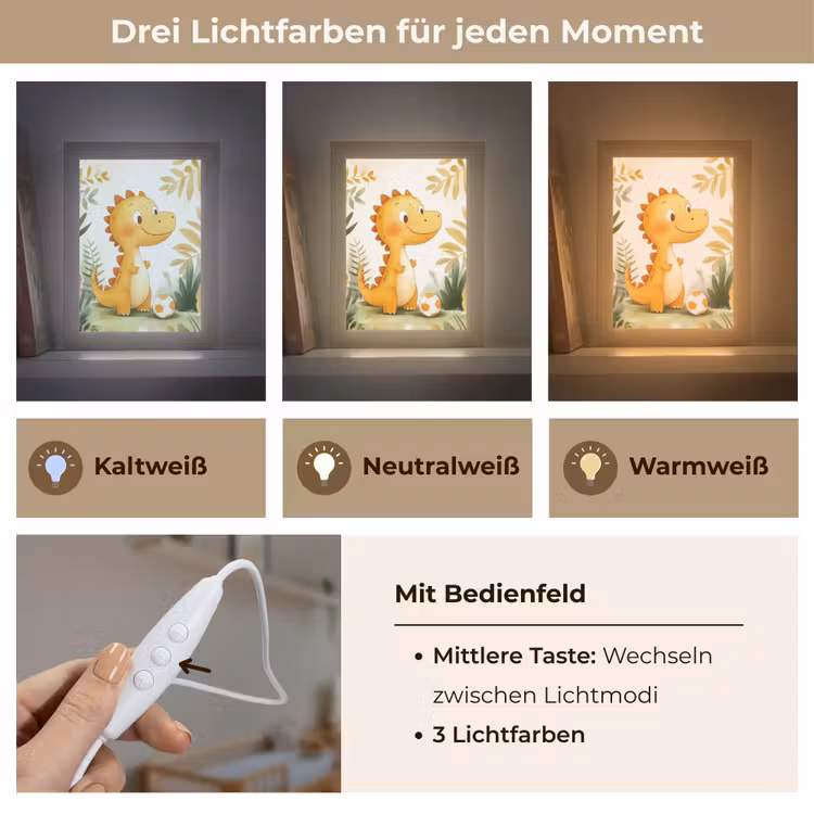 Dino - Voetbal - Oranje Light Box met kabel klein -USP_lichtkleurDE
