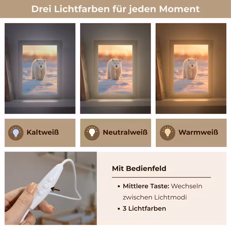 Ijsbeer - Sneeuw - Zonsopgang Light Box met kabel klein -USP_lichtkleurDE