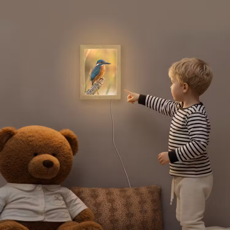 IJsvogel - Tak - Water - Kleurrijk - Levendig Light Box met kabel (Kinderlampje) klein -sfeer4a_kind