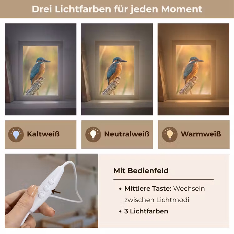 IJsvogel - Tak - Water - Kleurrijk - Levendig Light Box met kabel (Kinderlampje) klein -USP_lichtkleurDE