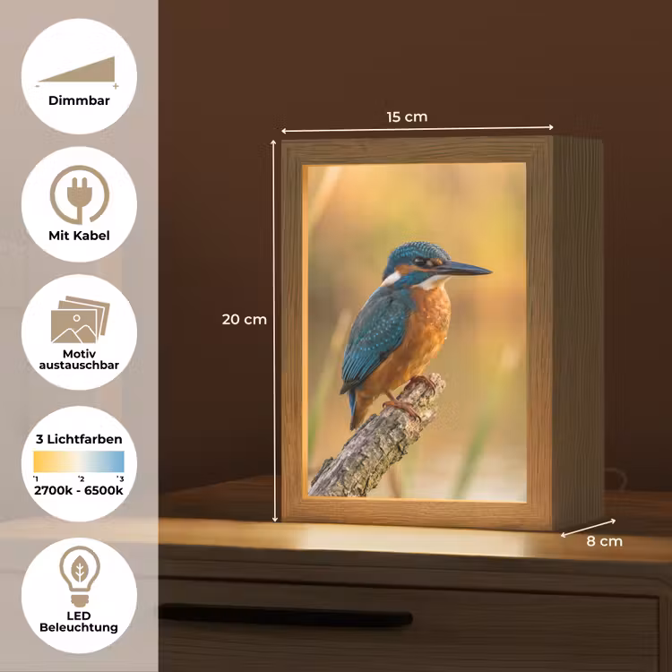 IJsvogel - Tak - Water - Kleurrijk - Levendig Light Box met kabel (Kinderlampje) klein -USP_websiteoverzichtDE