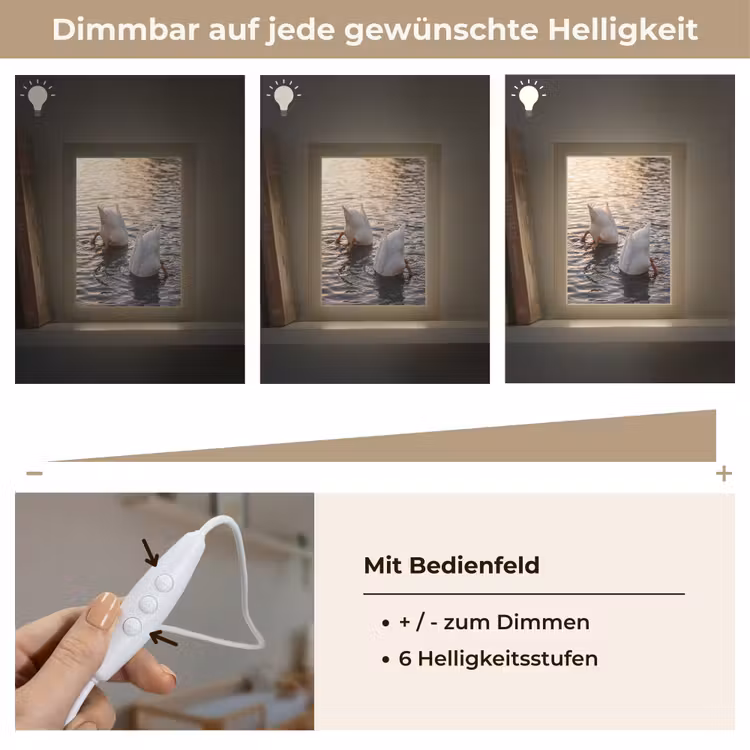 Eenden - Water - Natuur Light Box met kabel (Kinderlampje) klein -USP_dimbaarDE