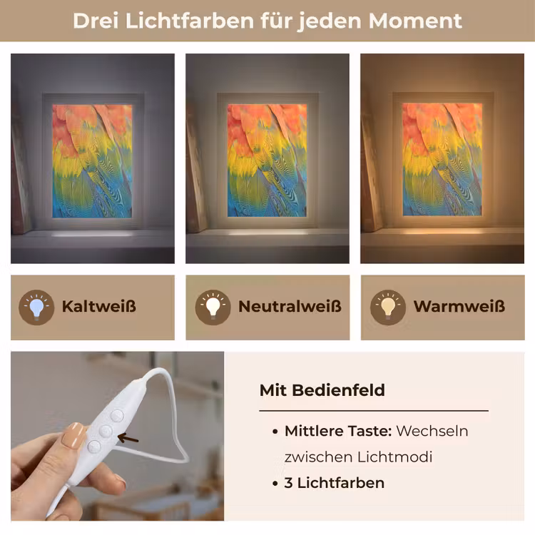 Veren - Ara - Kleurrijk Light Box met kabel (Kinderlampje) klein -USP_lichtkleurDE