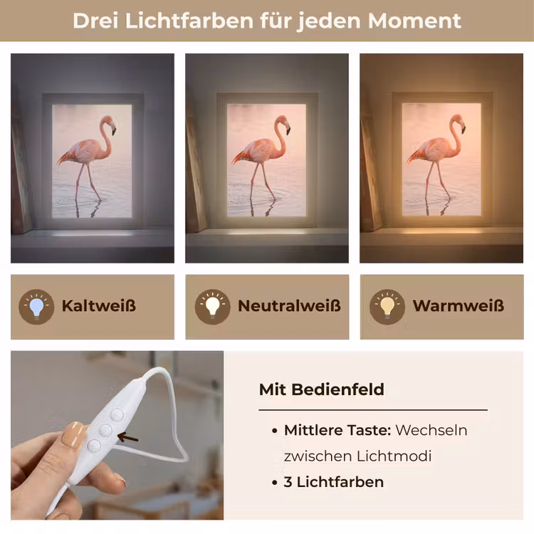 Flamingo - Water - Roze Light Box met kabel (Kinderlampje) klein -USP_lichtkleurDE