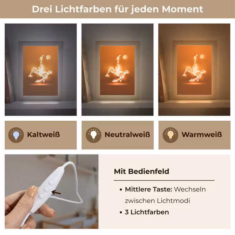 Voetballer - Oranje - Voetbal - Omhaal Light Box met kabel klein -USP_lichtkleurDE