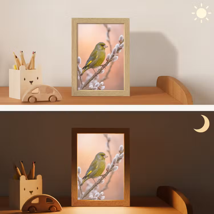 Groenling - Katjes - Lente - Natuur - Zacht Light Box met kabel (Kinderlampje) klein -sfeer3_kind