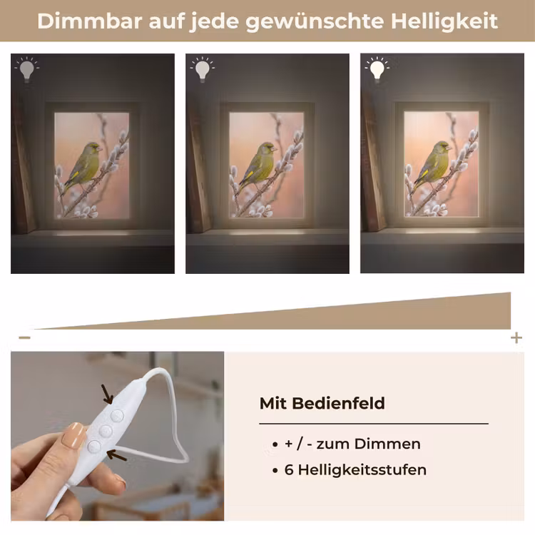 Groenling - Katjes - Lente - Natuur - Zacht Light Box met kabel (Kinderlampje) klein -USP_dimbaarDE