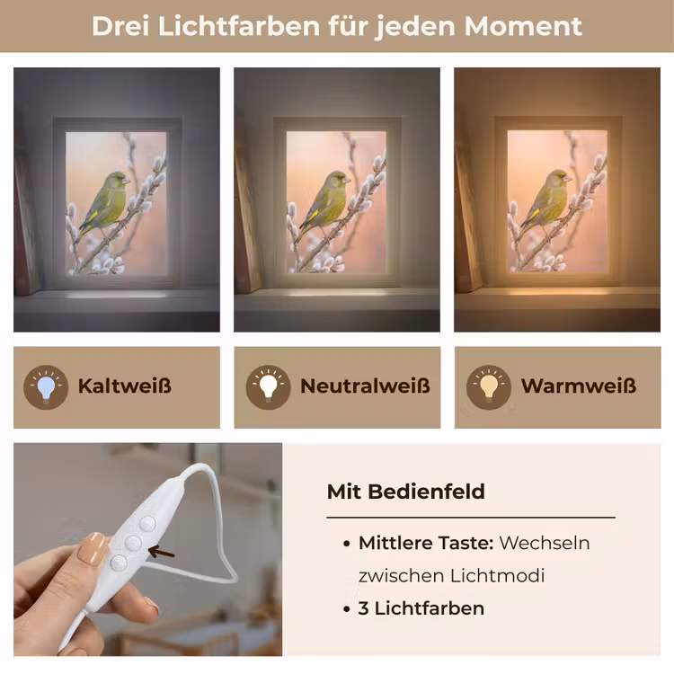 Groenling - Katjes - Lente - Natuur - Zacht Light Box met kabel (Kinderlampje) klein -USP_lichtkleurDE