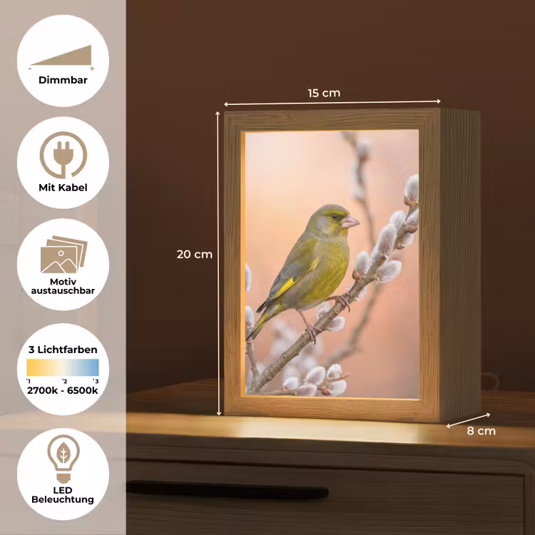 Groenling - Katjes - Lente - Natuur - Zacht Light Box met kabel (Kinderlampje) klein -USP_websiteoverzichtDE